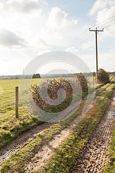 rural road through country dirttrack way through nature landscape background