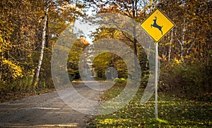 Rural Road With Deer Crossing Sign