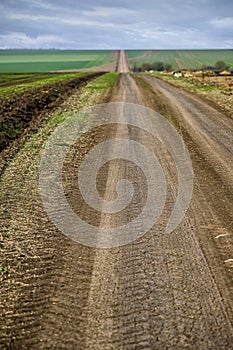 Rural road disappearing on the horizon across the field