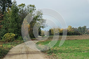 Rural road at the edge of the field