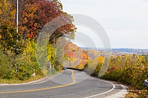 Rural Road in the Fall