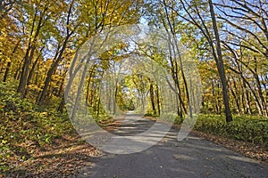 Rural Road in the Fall