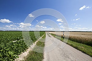 rural road