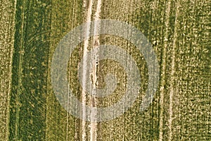 Rural road between fields with lines textures