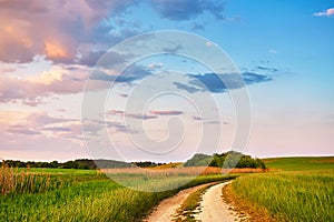 Rural road in fields and meadows at sunset time in summer. Beautiful agriculture landscape with trees, hills, green grass, clouds