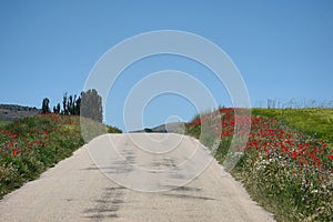 Rural road in the fields seamed by poppies and this fantastic blue sky