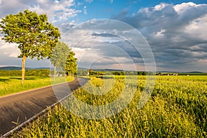 Rural road between fields in warm sunshine under dramatic sky