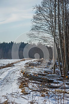 Rural road and forest in winter