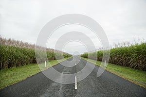 Rural Road in Grasslands