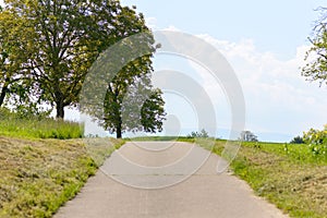 Rural road through grassy fields in spring