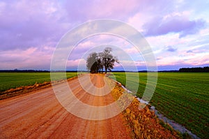 Rural road, green field, colorful clouds in blue sky