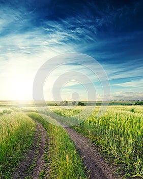 Rural road in a green field to the horizon and sunset in deep blue sky with clouds