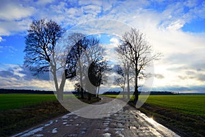 Rural road, green field, white clouds in blue sky