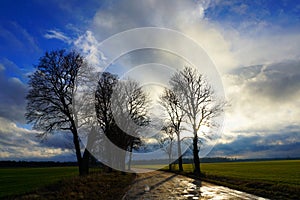 Rural road, green field, white clouds in blue sky