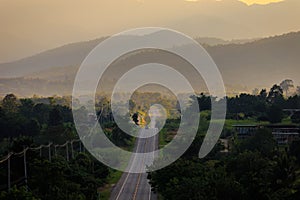 Rural road in green grass