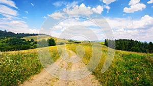 rural road through green meadows on rolling hills