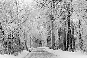 Rural Road With Heavy Hoar Frost