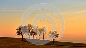 Rural road on a hill with trees surrounding it