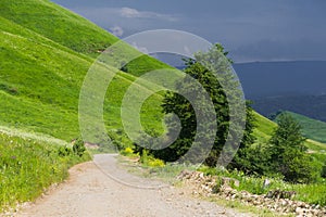 A rural road between the hills with trees along the edges and thunderstorm clouds in the summer