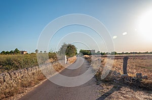A rural road in the interior of the island of Mallorca