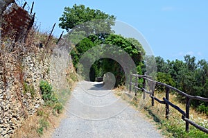 Rural road leads to the Italian mountain village landscape