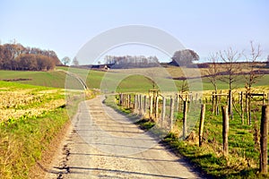 Rural road in Limburg