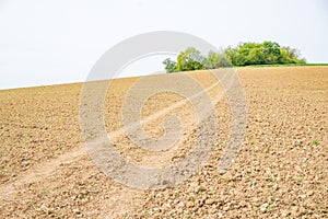 Rural road between a meadow and a plowed field, view on a cloudy spring day,