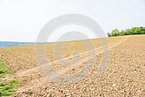 Rural road between a meadow and a plowed field, view on a cloudy spring day,