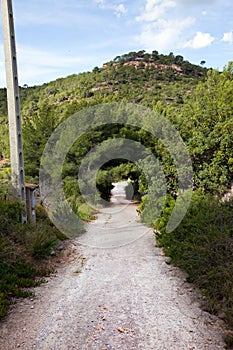Rural road near Pu?Ã¯Â¿Â½ol Valencia photo
