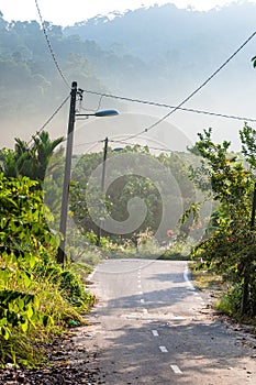 Rural road in Pangkor, Malaysia