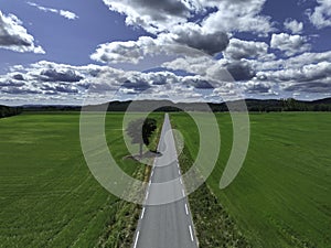 Rural road through a picturesque landscape, with lush green field on either side and a single tree