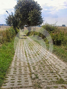 Rural road in Polish countryside