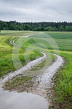 Rural road on a rainy day.