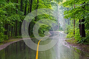 Rural Road on a Rainy Day