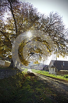 Rural road in Romania