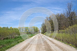 Rural road scenery in Ontario in Springtime