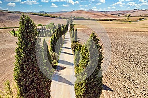 Rural Road in Siena Tuscany with Tuscan Cypress Trees