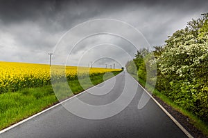 Rural road and sky with the cloud of the rainstorm over the colza field