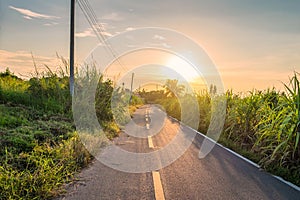 Rural road and sugar cane at sunset