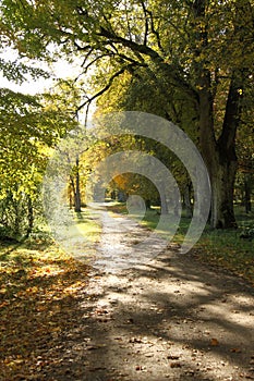 Rural road on a sunny fall day in Kazdanga, Latvia, Europe