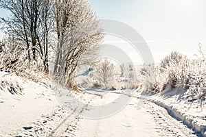 Rural road in winter