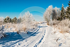 Rural road in winter deep snow