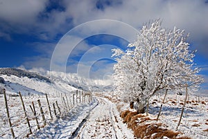 Rural road in winter time