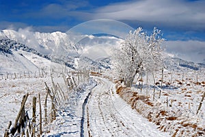Rural road in winter time