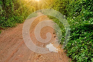 Rural roads are bumpy along the fence.