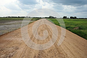 Rural roads in the countryside are surrounded by fields