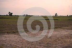 Rural roads in the countryside are surrounded by fields