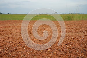 Rural roads in the countryside are surrounded by fields