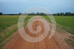 Rural roads in the countryside are surrounded by fields