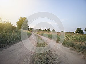 Rural roads with grass on the side.